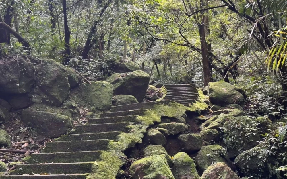 圖/走進孝子山步道,感受被層層綠意環繞的山林風景。(新北市政府觀光旅遊局提供)