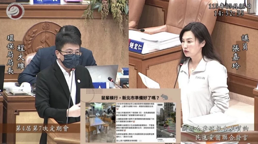 新北鼠患延燒 張嘉玲憂投藥失當恐釀生態危機