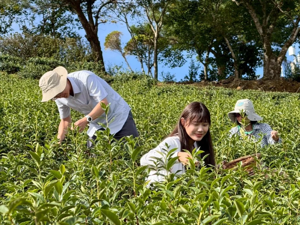 新北推六大綠色遊程 低碳旅遊減碳還能拿證明